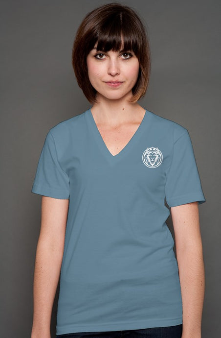 Kingsley Lane V-neck T-Shirt - Steel Blue